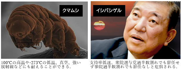 【藤井聡】【石破クマムシ論】自公過半数割れでも「石破続投」のリスクは有り。自民党内保守の党内政局における活躍が今、党利党略を越えた「国益」のために求められている。